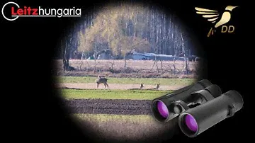DDoptics Ultralight 8x42 keresőtávcső\Unboxing
