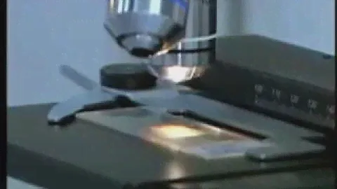 2.-Función de las partes del microscopio.
