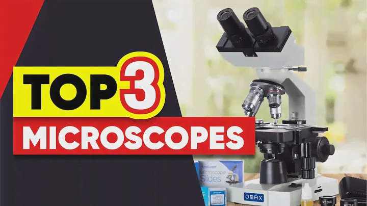 Top 3 Microscopes in 2024 🏆
