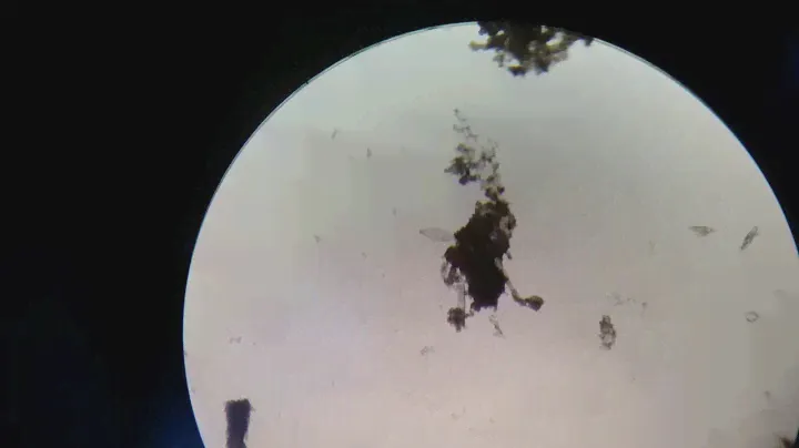 Microscope Test